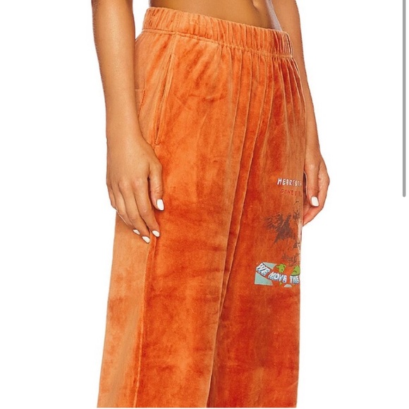 Gone Viral Velour Sweatpants - Picture 7 of 10